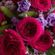 Rose Farmers’ Two Dozen Roses | $50 | StackSocial